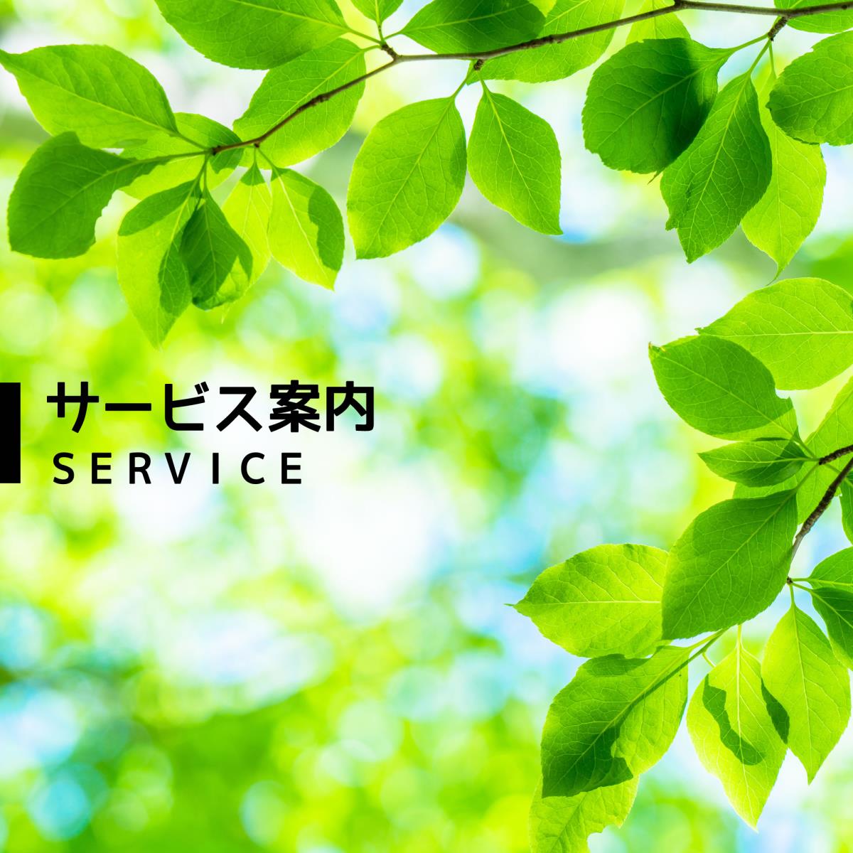 サービス案内